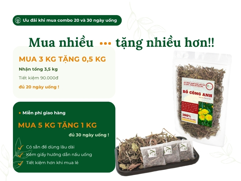 Bồ công anh (diếp dại, diếp trời) Mua combo bồ công anh khô nhận ưu đãi lớn