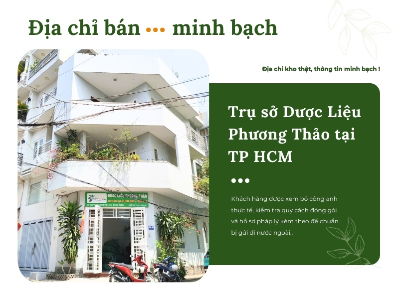 Bồ công anh (diếp dại, diếp trời) Địa chỉ bán bồ công anh minh bạch tại TP.HCM