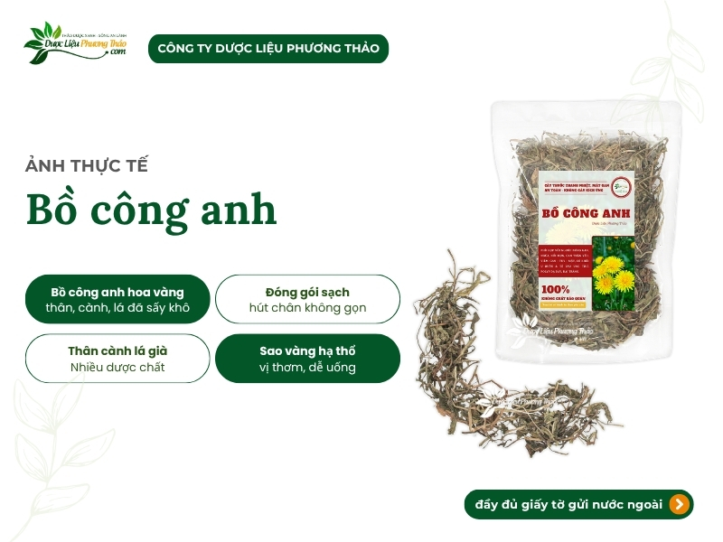 Bồ công anh (diếp dại, diếp trời) Bồ công anh khô chuẩn sạch, hỗ trợ thanh nhiệt, u bướu