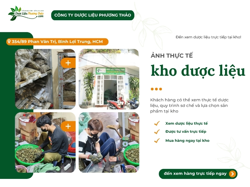 kho dược liệu sạch tại TP HCM