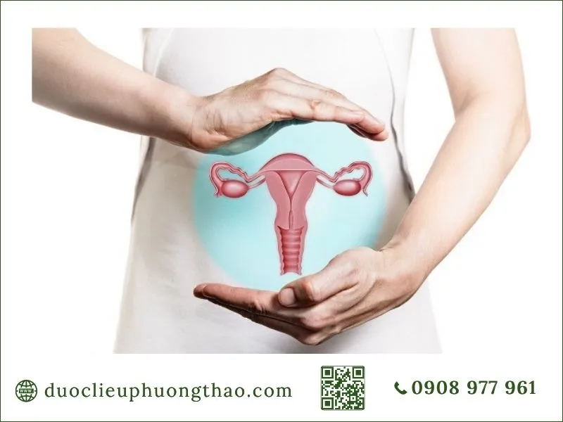 Chủ động nâng niu, bảo vệ sức khỏe buồng trứng là đang bảo vệ sức khỏe hệ sinh sản nữ giới