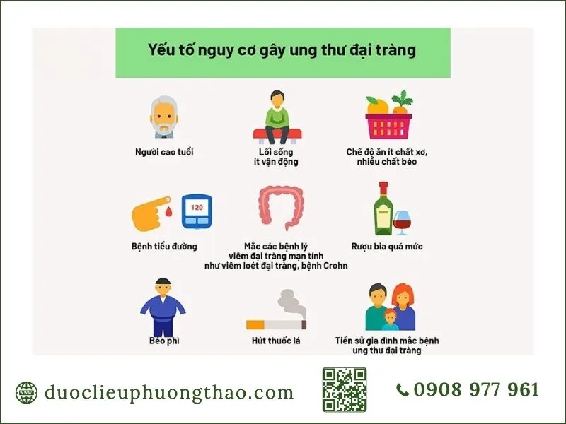 Ung thư đại tràng là gì? Nguyên nhân, triệu chứng và hướng xử lý cho người trung niên Tổng hợp các yếu tố nguy cơ chính gây bệnh ung thư đại tràng cần lưu ý