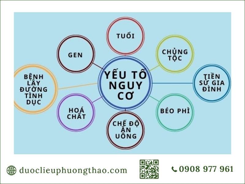 tổng hợp các yếu tố nguy cơ ung thư tuyến tiền liệt