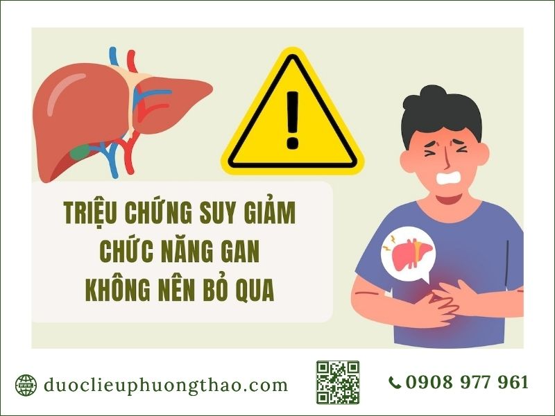 các triệu chứng suy giảm chức năng gan là gì và cần chú ý theo dõi sớm