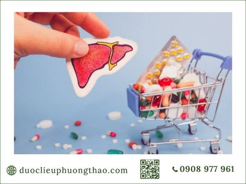 Men gan cao là gì? Nguyên nhân, triệu chứng và Cách phòng tránh như thế nào? Thực phẩm & thói quen sinh hoạt ảnh hưởng đến men gan