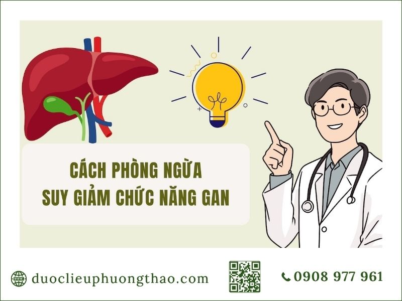 Mách bạn các biện pháp phòng ngừa suy giảm chức năng gan là gì? hiệu quả an toàn