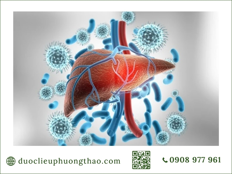 hình ảnh khối u gan và virus gây bệnh ung thư gan là gì