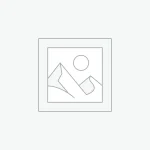 Cỏ ngọt (cỏ đường, cỏ mật, diệp lộ thảo)